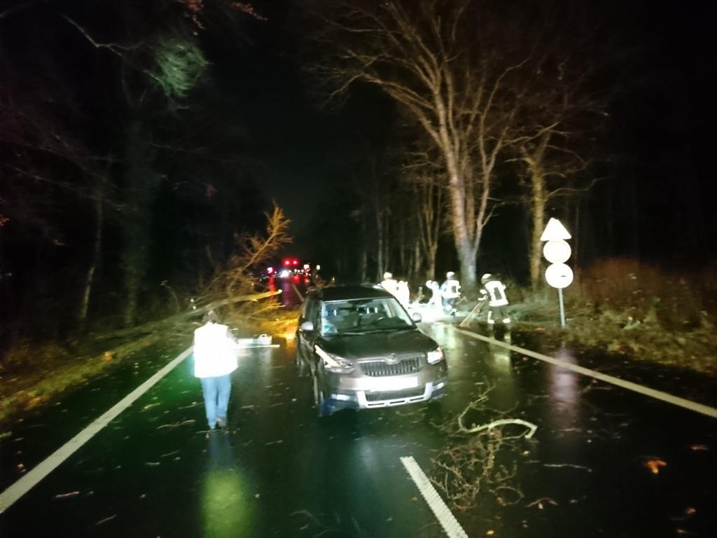 H1 - Verkehrsunfall durch Baum auf Fahrbahn