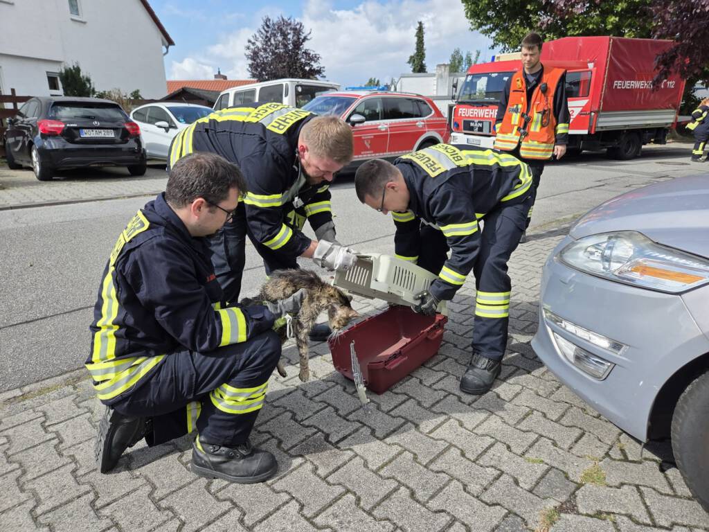 H1-Tierrettung_2025-09-12