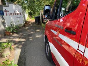 H1-Tierrettung_2025-09-12
