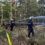 Vorankündigung Waldbrandübung