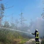 Waldbrandübung